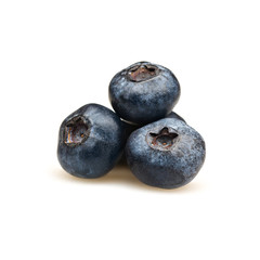 Fresh blueberry isolated on white background. Four bilberries.