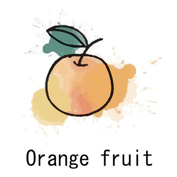 Vector orange fruit paint with watercolor on white blackground.