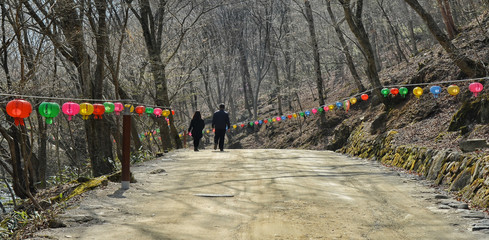 People walking in Mount Songgwangsan in South Jeolla Province, South Korea. 