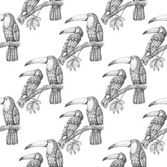 toucans pattern © Nadezda