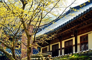 Fototapeta premium Songgwangsa is a zen buddhism temple located in South Jeolla Province on the Korean Peninsula. Founded in 867 it fell into disuse but was re-established in 1190 by Seon master Jinul. 04-08-2017