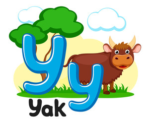 Letter y with animal, yak on a white. Alphabet for children.