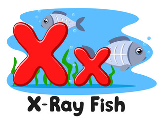 X ray fish letter on a white background. Alphabet for children.