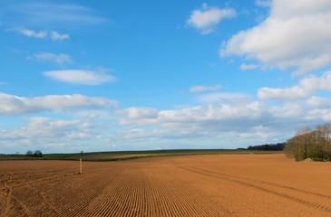 Obraz premium A pathway through ploughed and tilled farmland 2, in the Covid 19 era, April 2020.