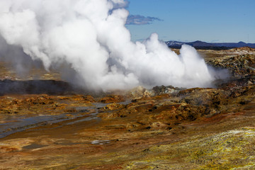 Steam rises from the bowels of the earth. Geyser in Iceland. Alternative energy source