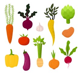 All kind of vegetables illustration Beet, tomato, potato, carrots and eggplant, celery, garlic, radish