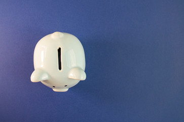 blue pig piggy bank on a blue background