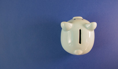 blue pig piggy bank on a blue background