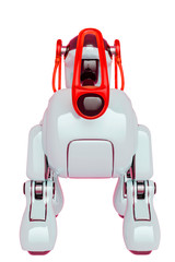 robot dog rear view