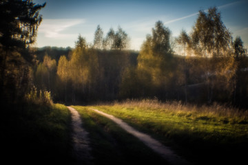 Forest Road.