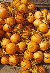 Pile of coconut fruits in the market in Kovallam, India