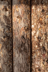 Wood texture