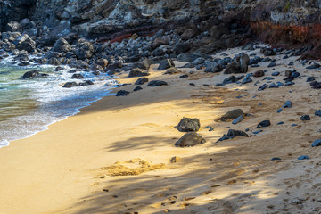 Two turtles basking on the sand and among the rocks at Ho'okipa Beach in Maui, Hawaii