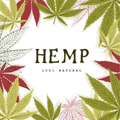 Background with leaves of hemp