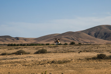 landscape in the mountains