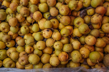 Large pile of apples