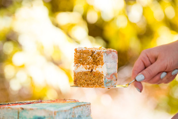 Beautiful and delicious honey cake in nature.