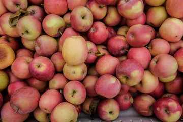 Large pile of apples