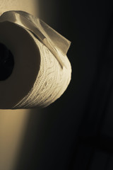 Dramatic Close up toilet paper supply