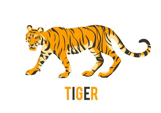 Red tiger. Vector isolated animal.