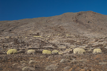 Hill in a desertic landscape. Timijiraque Protected Landscape. Valverde. El Hierro. Canary Islands....