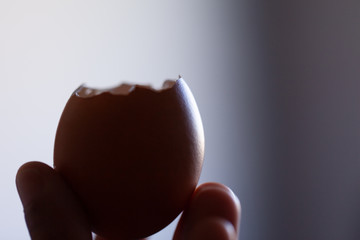 Casca de ovos quebradas após utilização