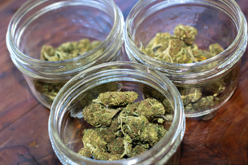 Investing in the Cannabis Industry