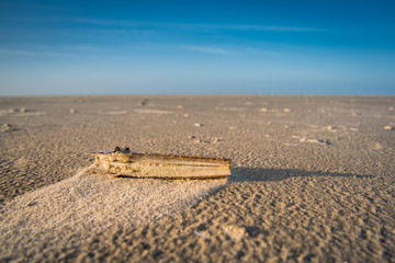 sand castle in the desert