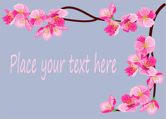 Vector illustration in flat style. Image of a flowering sakura branch.Card, background, slide. There is a place were you can insert your text.