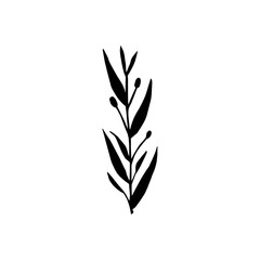 Cute hand drawn forest leaf, branch. Traditional leaves in ink, doodle style for wedding decoration and arrangements.