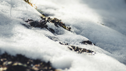 Nieve al final del invierno