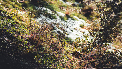 Paisaje helado al inicio de la primavera