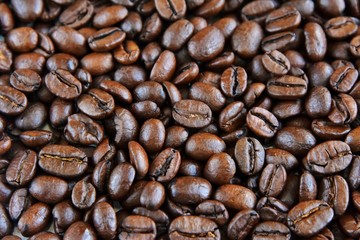 Roasted Coffee beans background with selective focus. Arabica coffee seeds. 
