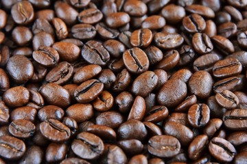 Roasted Coffee beans background with selective focus. Arabica coffee seeds. 
