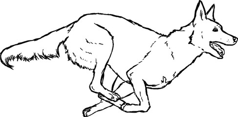 VECTOR running dog shepherd sketch hand drawn solhouette outline