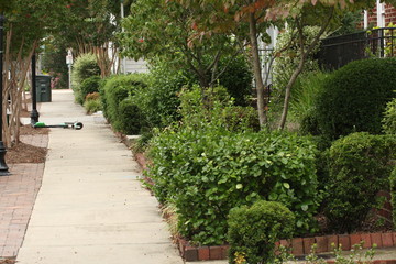 Obraz premium sidewalk