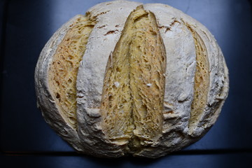 Fototapeta premium Pane