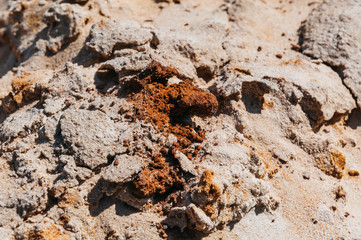 a pile of sand like a dune in the desert