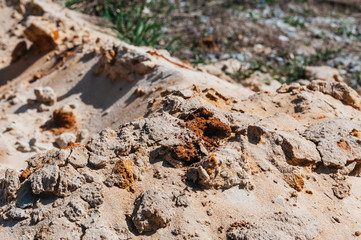 a pile of sand like a dune in the desert