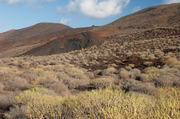 Scrubland and hills in the Frontera Rural Park. El Hierro. Canary Islands. Spain.