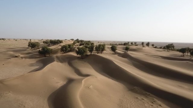 A stunning snap shot of the drone in the Hema Desert, trees, drylands and red dunes, Sultanate of Oman