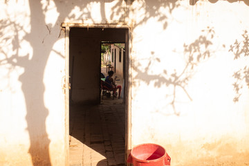 Silhouette of a Mysterious Girl Looking at her Phone Behind a House Covered with Tree Shadows
