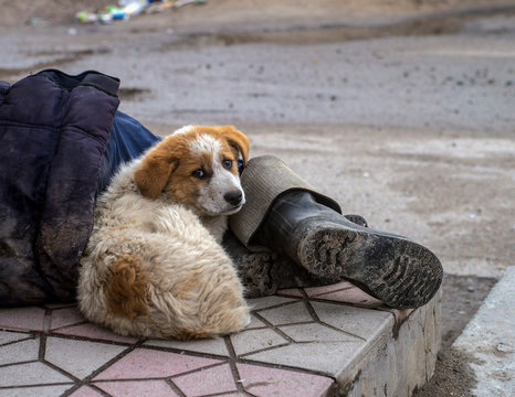 A Stray Dog Between The Legs Of A Homeless Person.