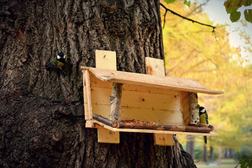 bird house in the forest