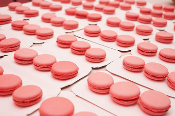 red, food, fruit, glass, drink, cherry, berry, dessert, fresh, sweet, strawberry, healthy, ripe, juice, cocktail, party, beverage, apple, table, delicious, alcohol, white, summer, organic, freshness