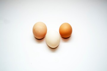 Eggs on a gradient background