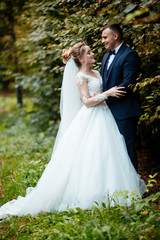 Fototapeta premium Bride and groom in a park kissing.couple newlyweds bride and groom at a wedding in nature green forest are kissing photo portrait.Wedding Couple