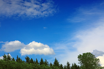 Clouds and green trees with blue sky .Summer background.