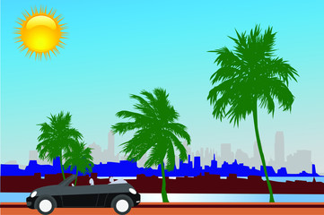 City park with car, sunset, sky, palm trees, ship - vector