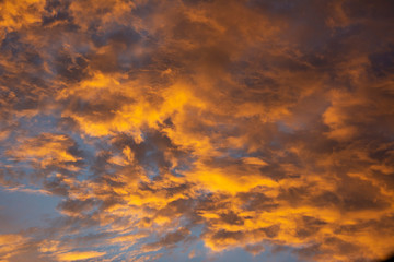 Golden Clouds during sunset with different forms